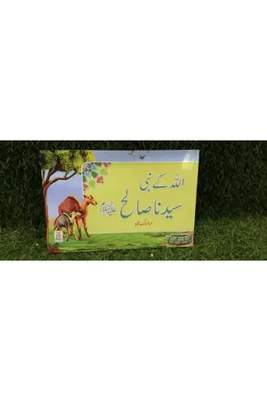 Qisa Hazrat Saleh (Local) book cover