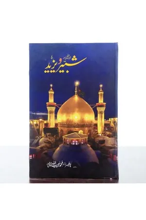Shabir o Yazid by Prof. Dr. Muhammad Habibullah Chishti book cover