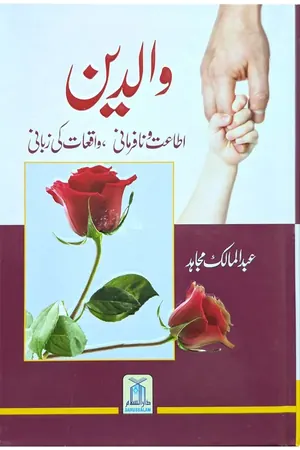 Waaldein book cover