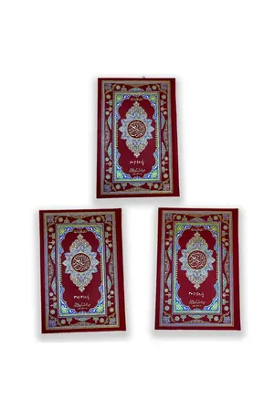 Extra large Quran a Majeed With bold words in 12 Lines (3 Volumes) book cover