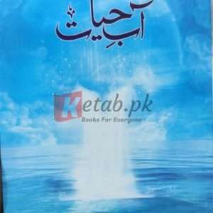 Aab E Hayat (آب حیات) Novel By Umera Ahmed (عمیرہ احمد) Books For Sale in Pakistan