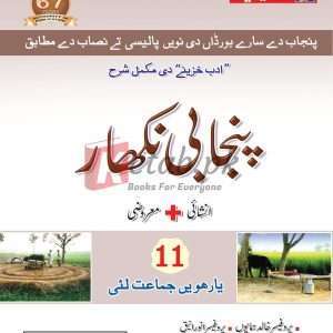 Punjabi Nikhar Inter Part 1 - Books For Sale in Pakistan