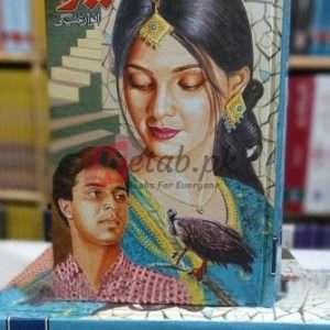 Basera (بسیرا) By Anwar Aligi Book For Sale in Pakistan