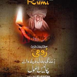 Forty Rules Of life Rumi ( رومیؒ کے زندگی بدل دینے والے 40 اصول ) By Peer Syed Allama Ayaz Zaheer Hashmi Book For Sale in Pakistan