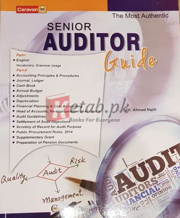 Senior Auditor Guide