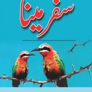 Safar-e-Maina ( سفر مینار ) By Ashfaq Ahmad Book For Sale in Pakistan
