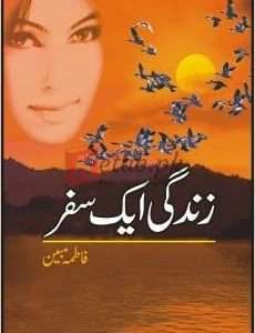 Zindagi Aik Safar (زندگی ایک سفر ) By Fatima Mubeen Book For sale in Pakistan