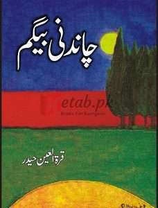 Chaandni Begum ( چاندنی بیگم ) By Qurat ul Ainn Book For Sale in Pakistan