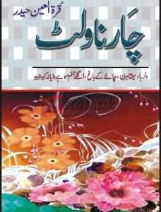Char Novelit ( چارناولٹ ) By Qurat Ul Ainn Book For Sale in Pakistan