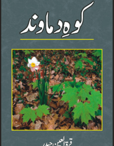 Koh-E-Damaavand ( کوہِ دماوند ) By Qurat ul Ain Book For Sale in Pakistan