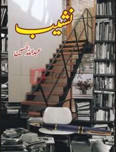 Nashaib ( نشیب ) By Abdullah Hussain Book For Sale in Pakistan