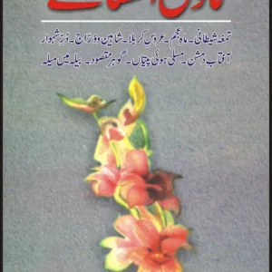 Novel Afsaney:Rashad Ul Khairi ( ناول افسانے ) By Rashid Alkhairi Book For Sale in Pakistan