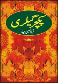 Picture Gallery ( پکچر گیلری ) By Quratul Ain Haider Book For Sale in Pakistan