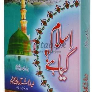 Islam Kya Hay? (? اسلام کیا ہے ) By Prof. Muhammad Habibullah Chisti Book For sale in Pakaistan