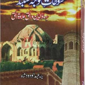 Malfuzat Khuwaja Naqshband ( ملفوظات خواجہ نقشبند ) By Syed AbdulWadood Shah Book For Sale in Pakistan