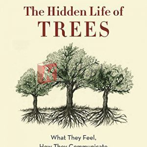 The Hidden Life of Trees: What They Feel, How They Communicate - Discoveries from a Secret World By Peter Wohlleben, Tim Flannery (paperback) Biology Book