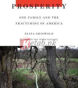 Amity and Prosperity: One Family and the Fracturing of America By Eliza Griswold (paperback) Society Politics Book