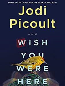Wish You Were Here: A Novel By Jodi Picoult (paperback) Fiction Novel