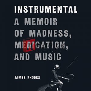 Instrumental: A Memoir of Madness, Medication, and Music By Rhodes, James (paperback) Arts Novel