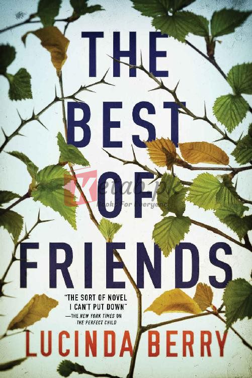 The Best of Friends By Lucinda Berry(paperback) Crime Thriller Novel
