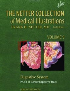 The Netter Collection of Medical Illustrations: Digestive System: Part II - Lower Di By Frank H Netter (paperback) Medical Book