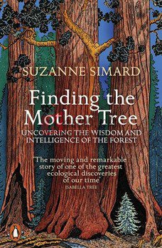 Finding The Mother Tree: Uncovering The Wisdom And Intelligence Of The Forest